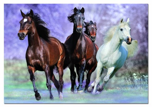 educa-14809-im-vollen-galopp-puzzle-1000-teile image 4