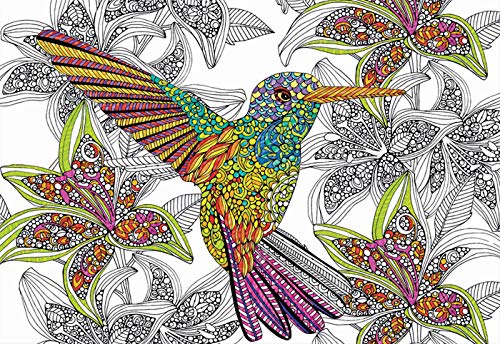 educa-17083-hummingbird-colouring-puzzle-300-teile-zum-ausmalen image 4