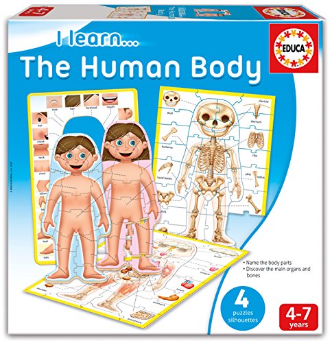 educa-16420-i-learn-k-rper-lernpuzzle-organe-knochen image 2