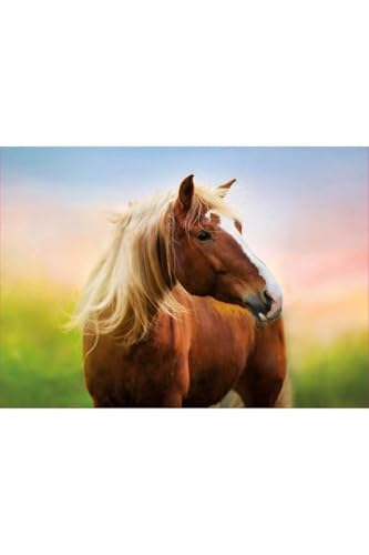 educa-19000-pferd-im-sonnenaufgang-puzzle-500-teile-ab-10-jahren image 6