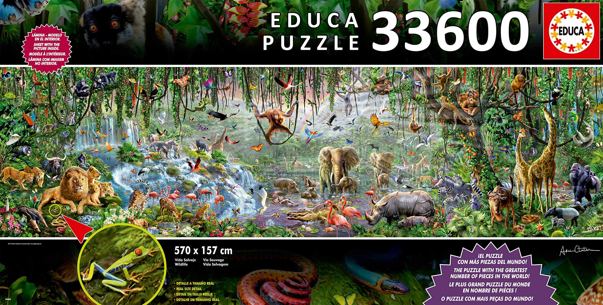 educa-wildlife-16066-puzzle-33600-teile-dschungel-ab-14-jahren image 5