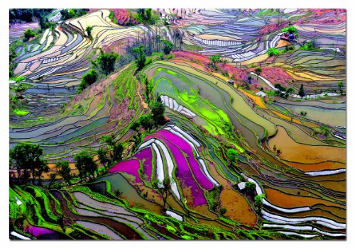 educa-15156-reisfelder-china-puzzle-1000-teile image 2