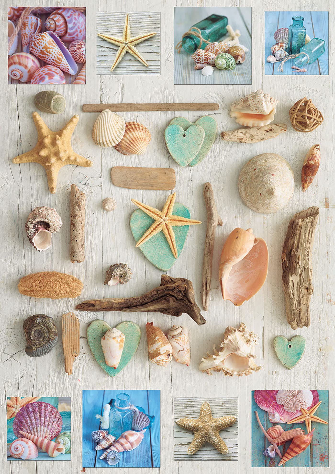 educa-muschel-collage-puzzle-1000-teile-68x48-cm image 2