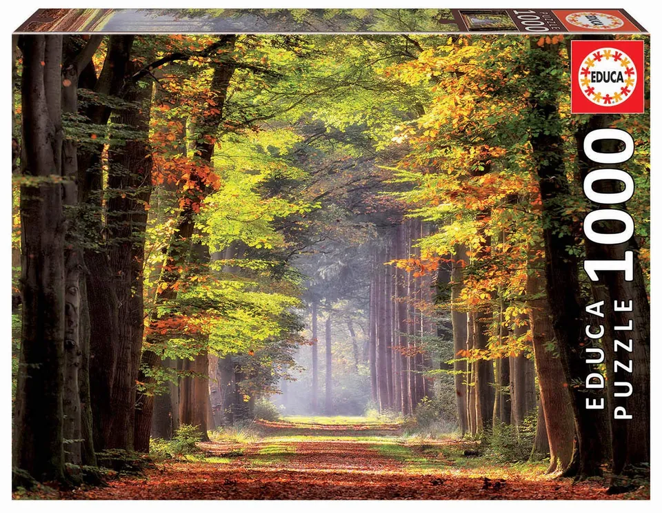 educa-herbstwald-19021-puzzle-1000-teile-landschaft image 1