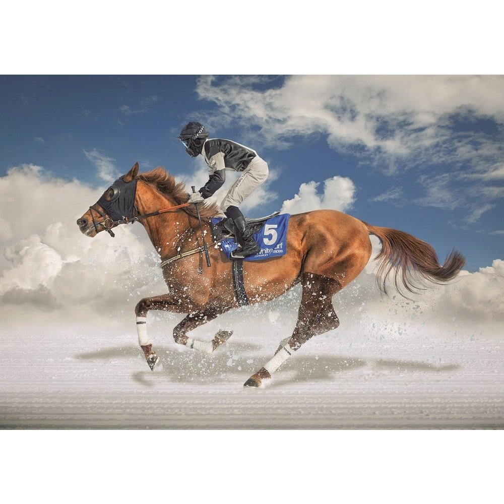 educa-16307-white-turf-puzzle-1500-teile-85x60-cm image 2