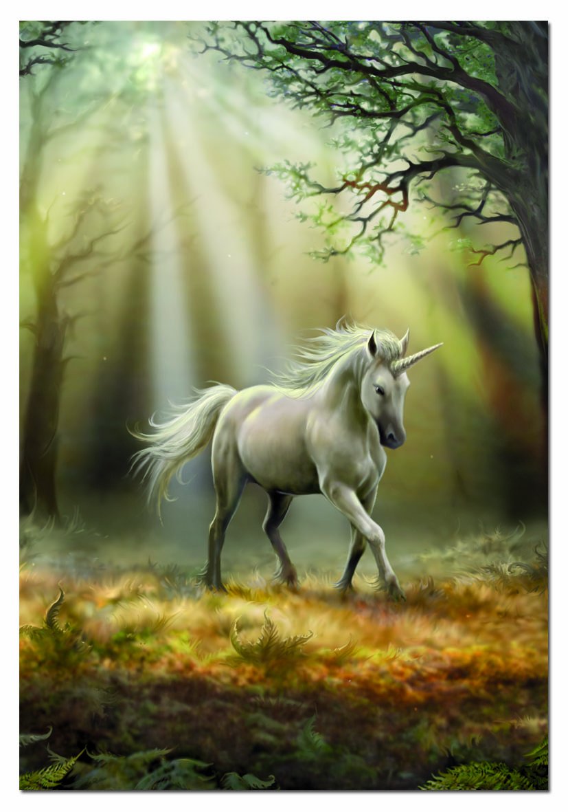 educa-einhorn-puzzle-1000-teile-anne-stokes-blick image 2