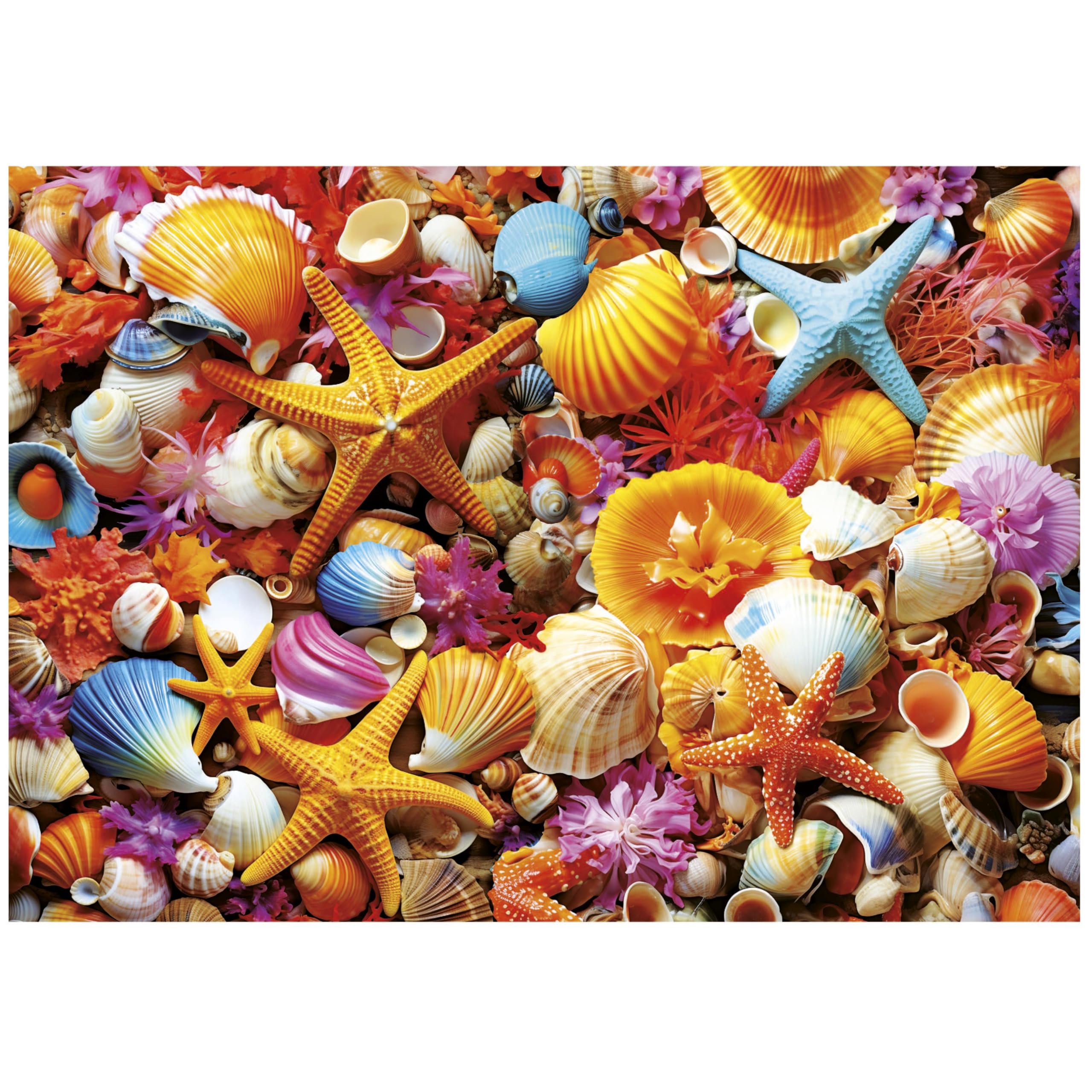 educa-20246-muschelcollage-puzzle-1000-teile-68x48-cm image 2