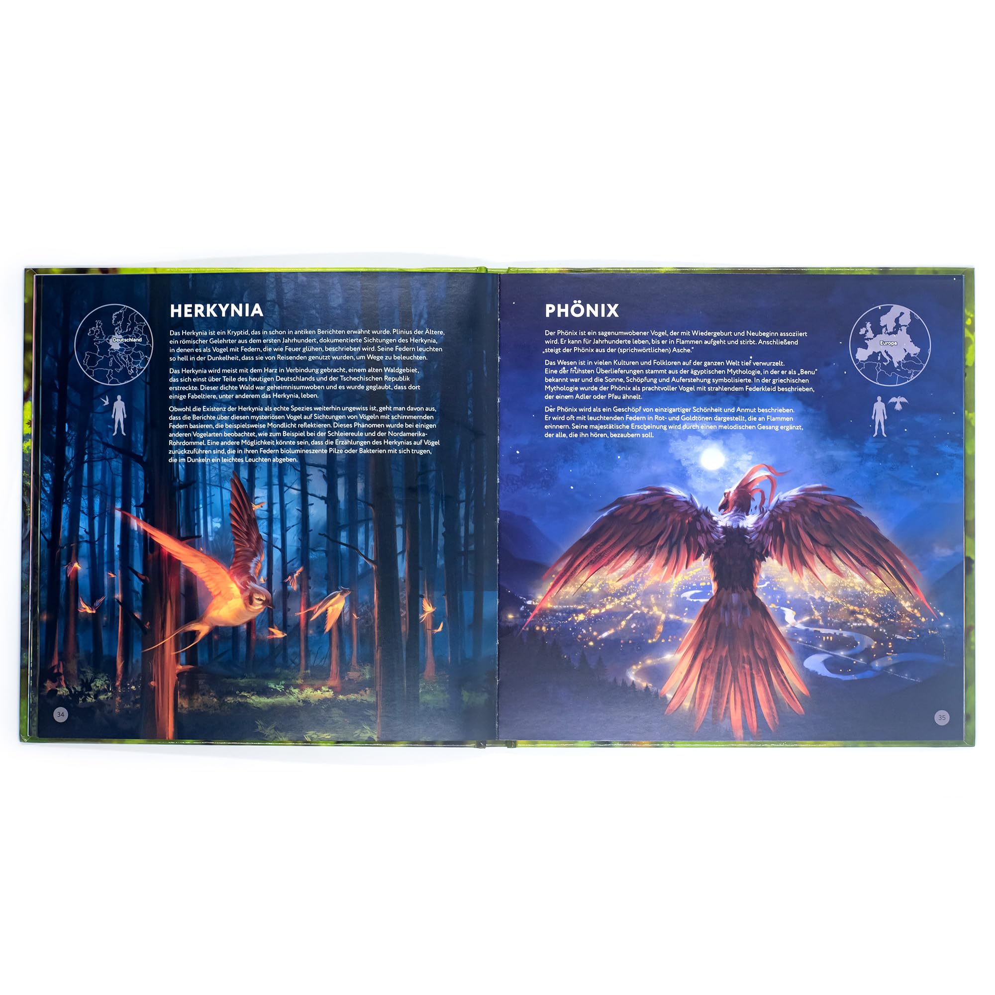 idventure-cryptic-nature-artbook-illustrationen-zum-brettspiel image 6