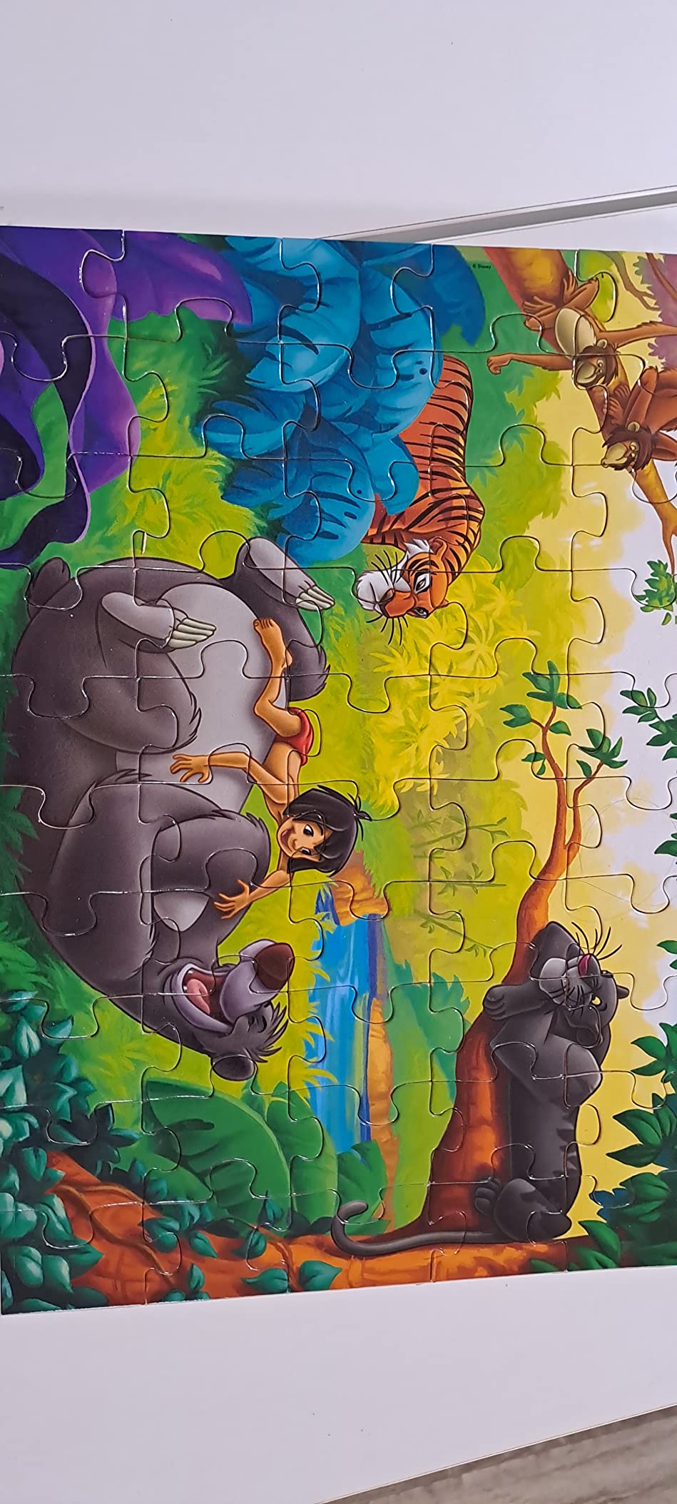 Simba Liebling