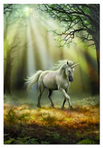 educa-einhorn-puzzle-1000-teile-anne-stokes-blick image 4