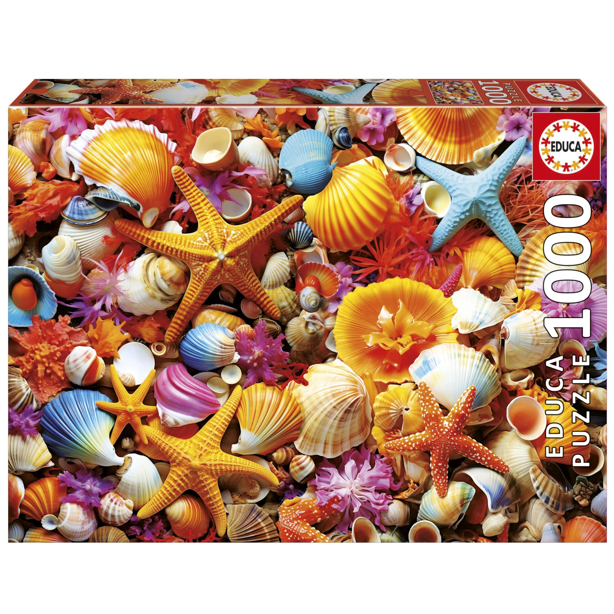 educa-20246-muschelcollage-puzzle-1000-teile-68x48-cm image 1