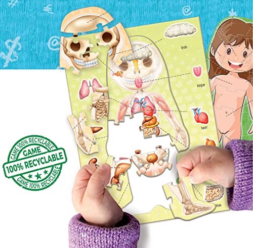 educa-learning-is-fun-der-menschliche-k-rper-lernspiel-99t-ab-4-j image 7