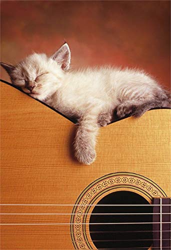educa-15510-meine-gitarre-puzzle-500-teile-musik image 3