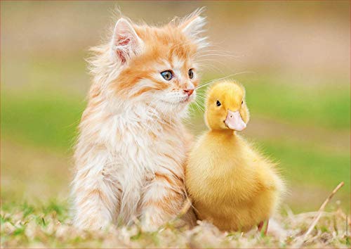 educa-18467-niedliche-freunde-500-teile-puzzle-katzenbaby-ente image 7