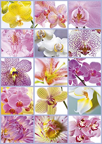 educa-16302-blumen-collage-puzzle-1500-teile image 4