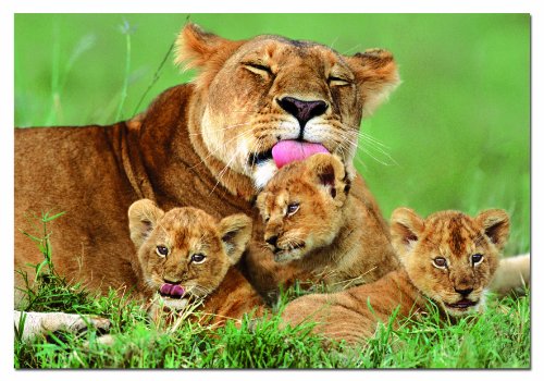 educa-l-win-mit-jungen-puzzle-500-teile-14111 image 2