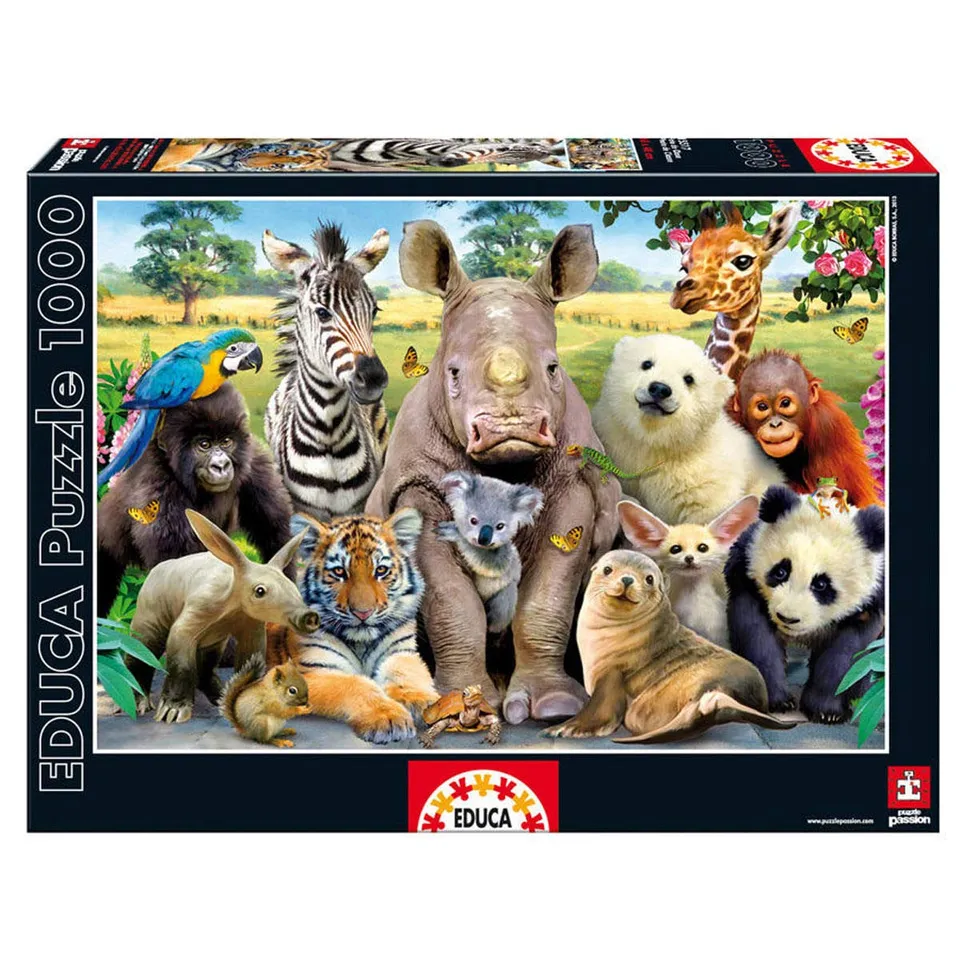 educa-klassenfoto-puzzle-1000-teile-68x48-cm-15517-ab-14-j image 1