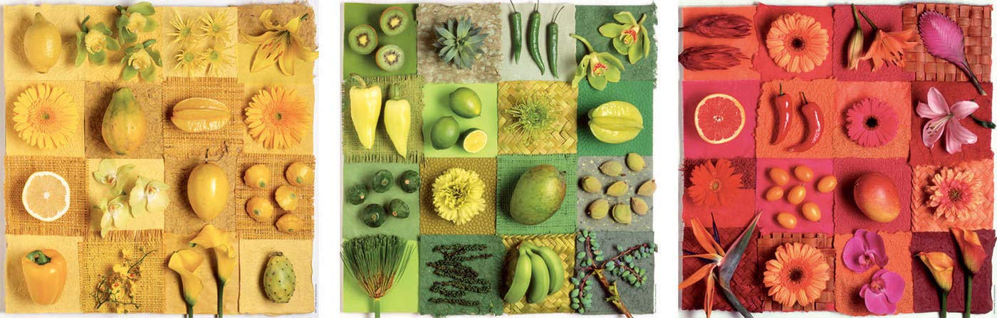 educa-18454-fr-chte-und-blumen-puzzle-3x500-teile-deko image 2