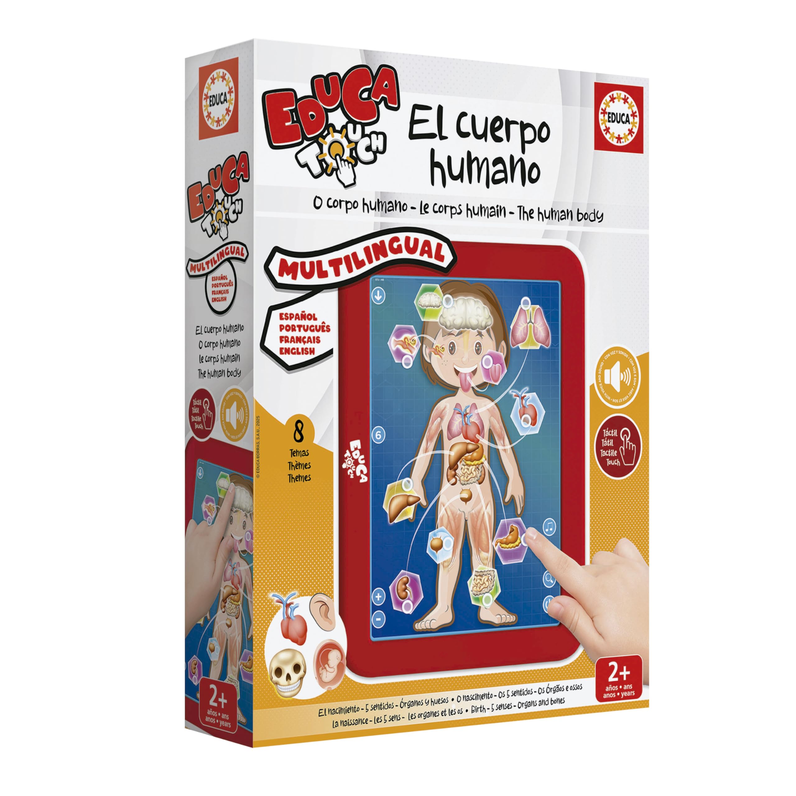 educa-touch-junior-menschlicher-k-rper-lernspiel-ab-2-jahren image 3