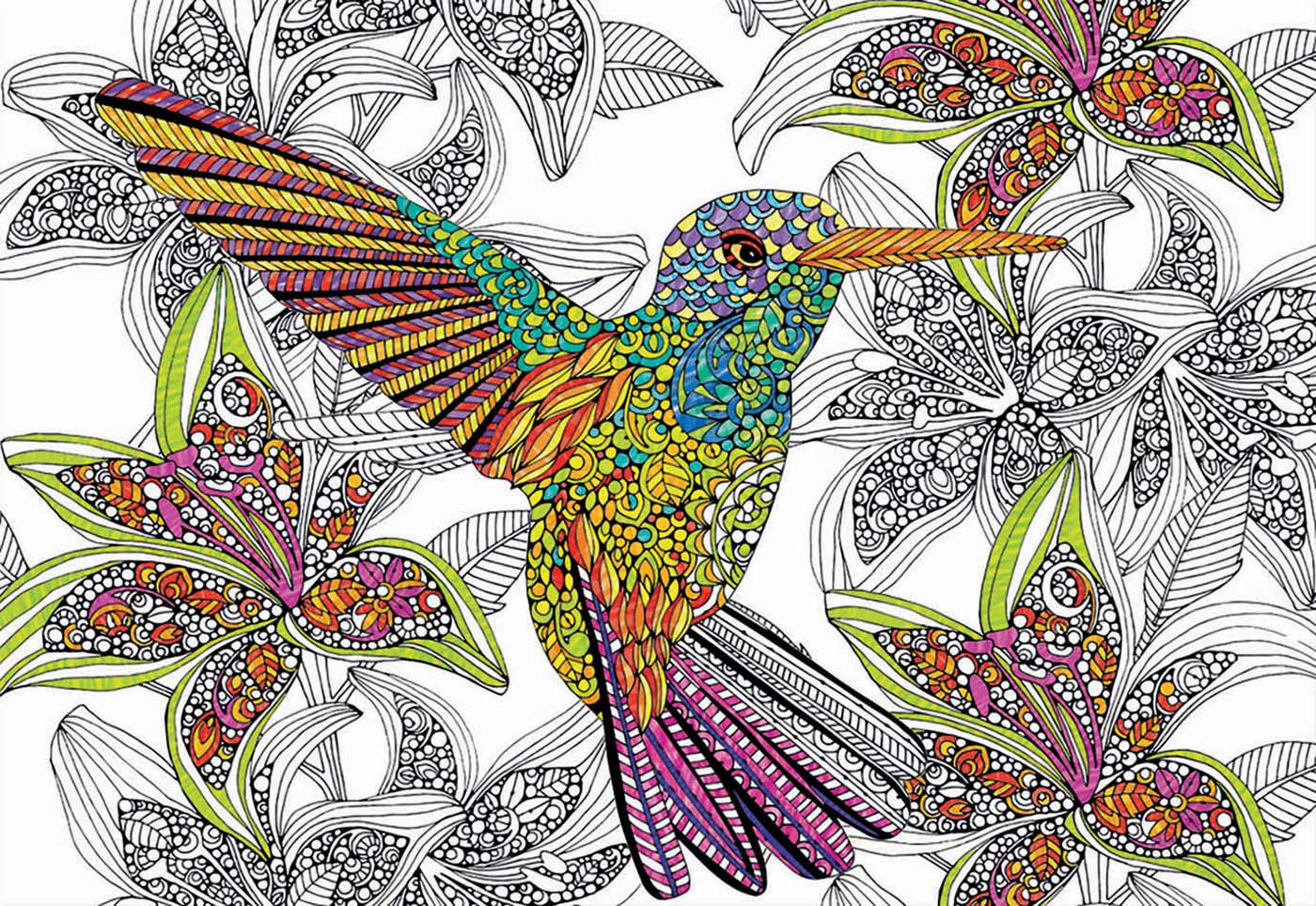 educa-17083-hummingbird-colouring-puzzle-300-teile-zum-ausmalen image 2