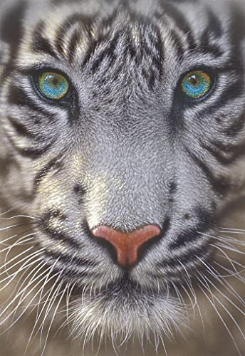 educa-15971-wei-er-tiger-puzzle-500-teile-tier image 6