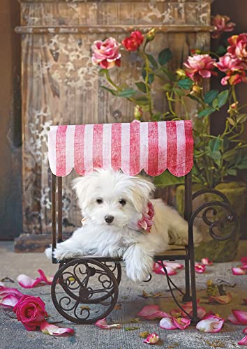 educa-16272-be-my-valentine-500-teile-puzzle-romantik image 6