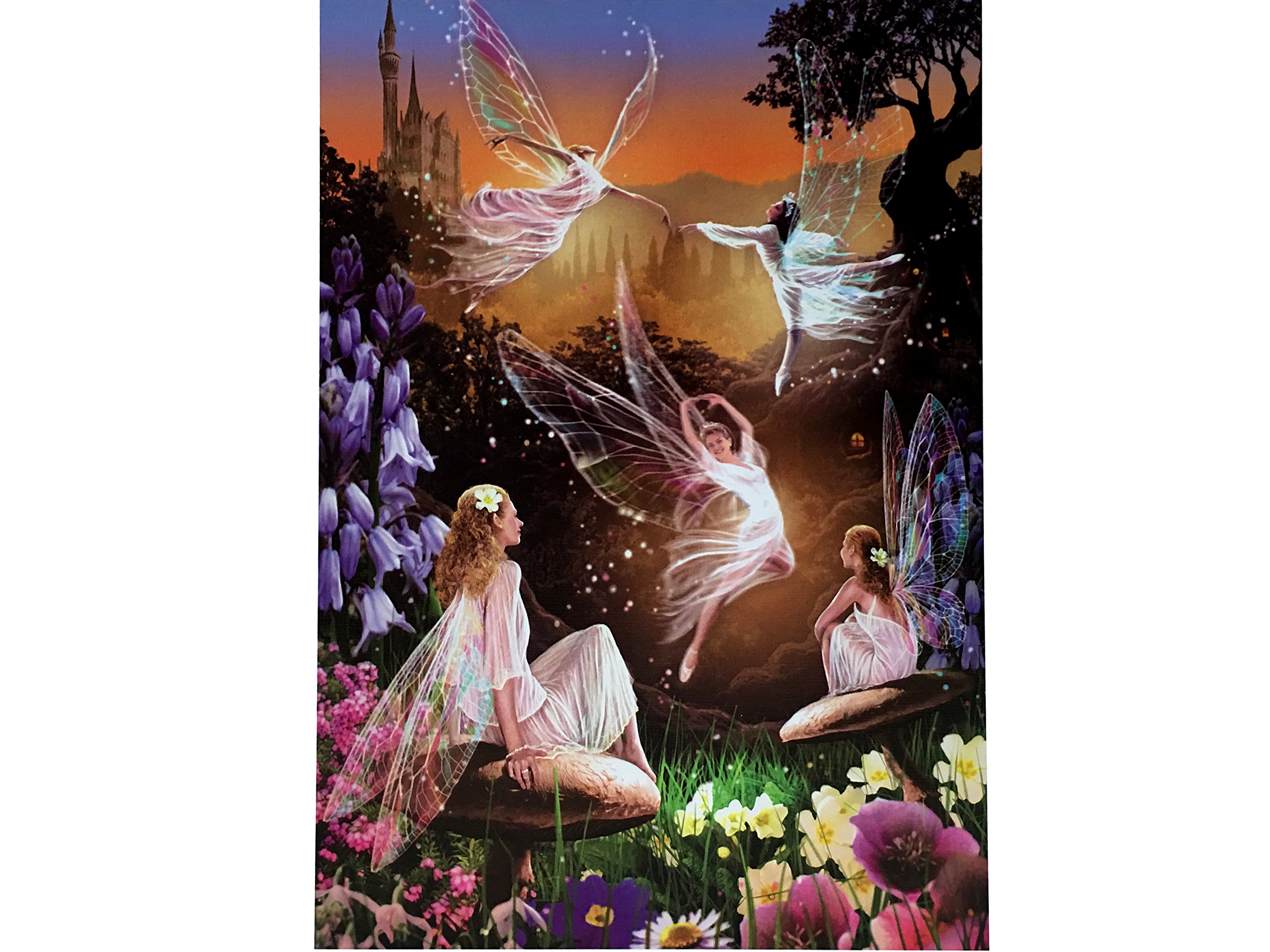 educa-feenballett-fairy-ballet-puzzle-500-teile image 2