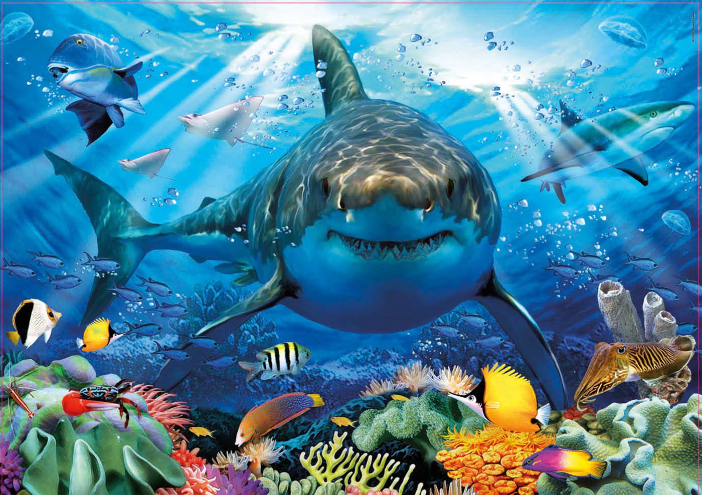 educa-wei-er-hai-18478-500-teile-puzzle-meerestiere image 2