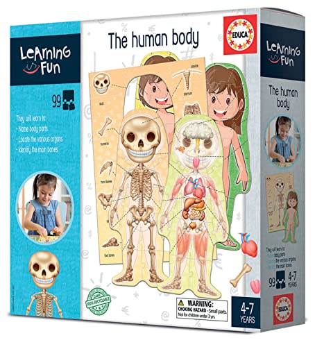 educa-learning-is-fun-der-menschliche-k-rper-lernspiel-99t-ab-4-j image 8
