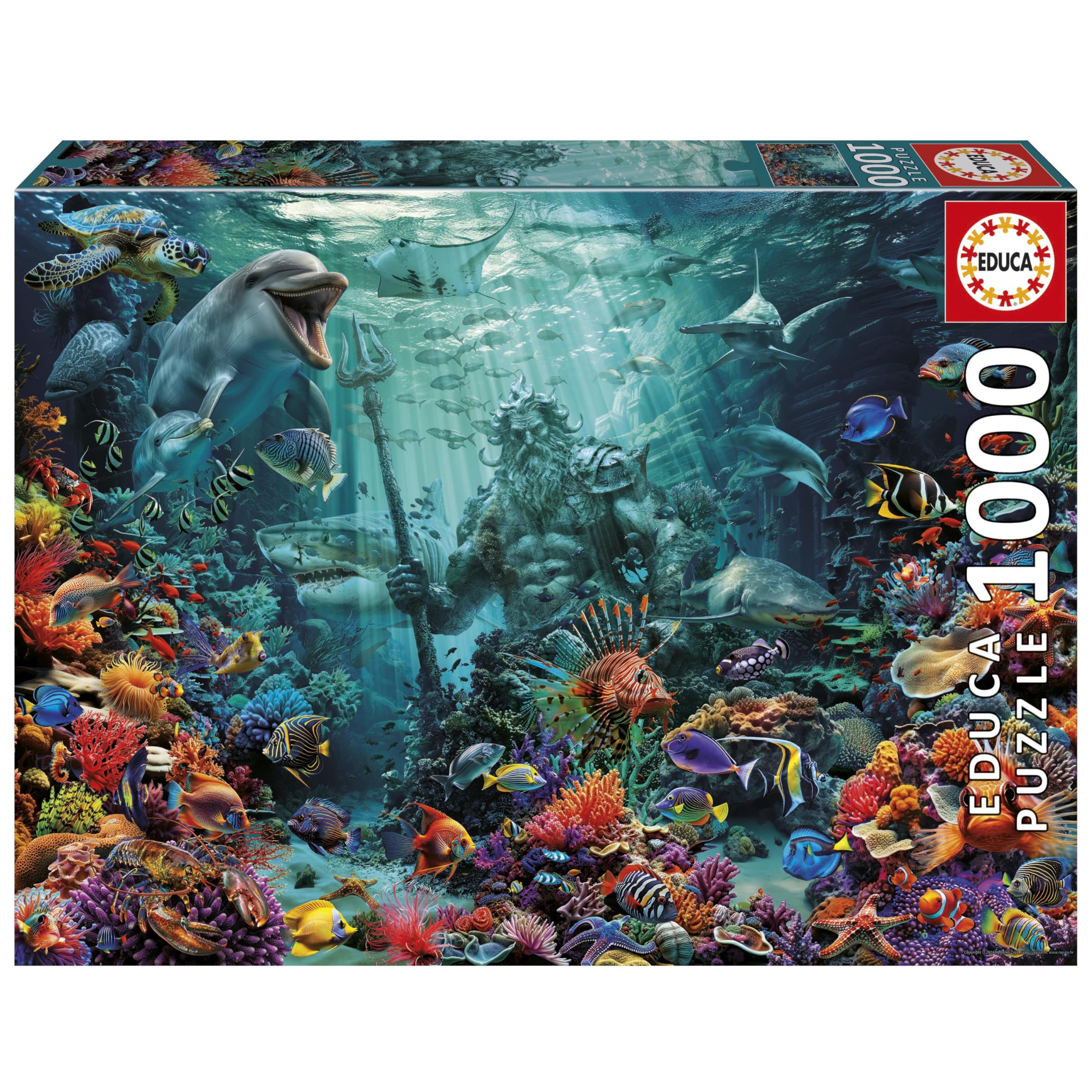 educa-20246-muschelcollage-puzzle-1000-teile-68x48-cm image 6