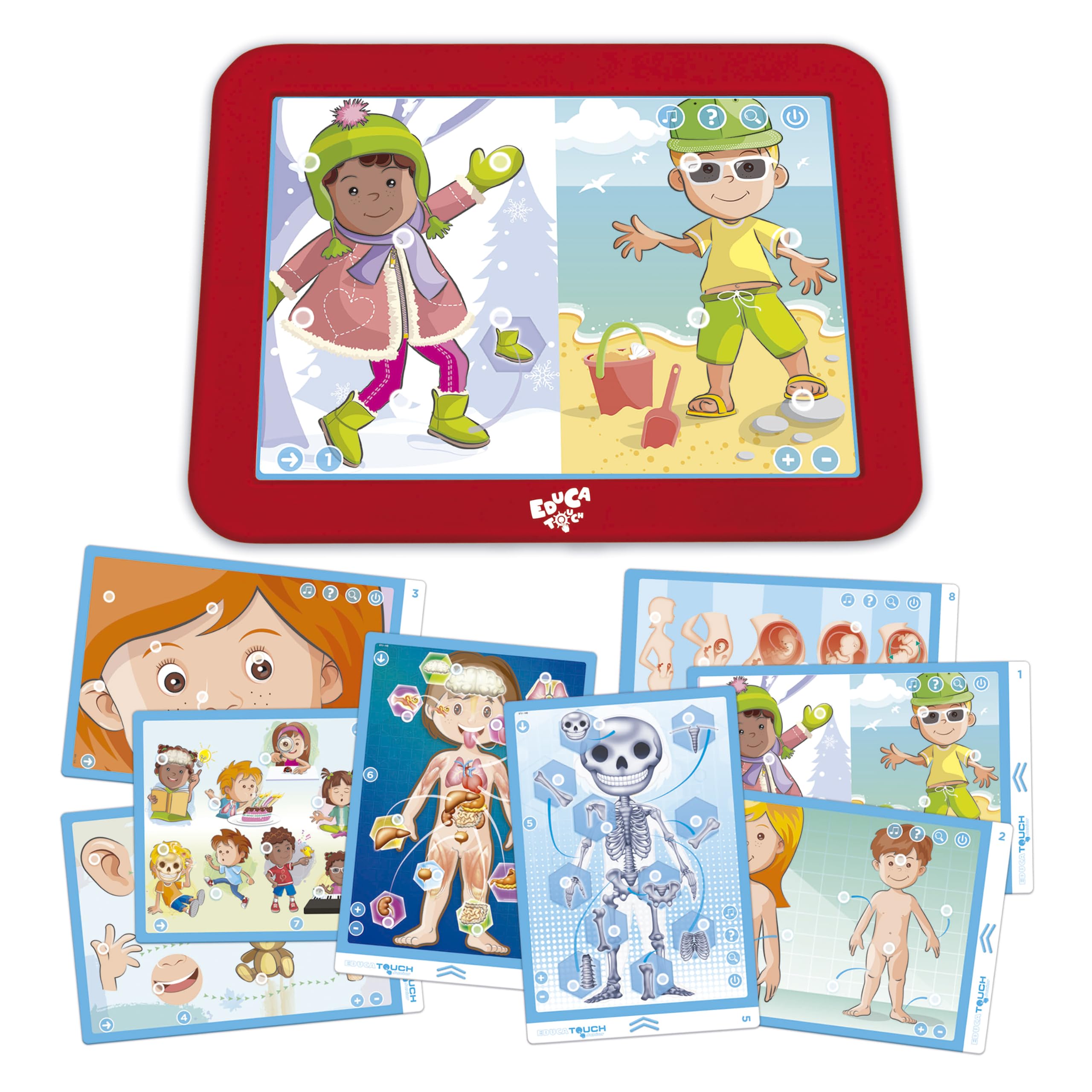 educa-touch-junior-menschlicher-k-rper-lernspiel-ab-2-jahren image 2