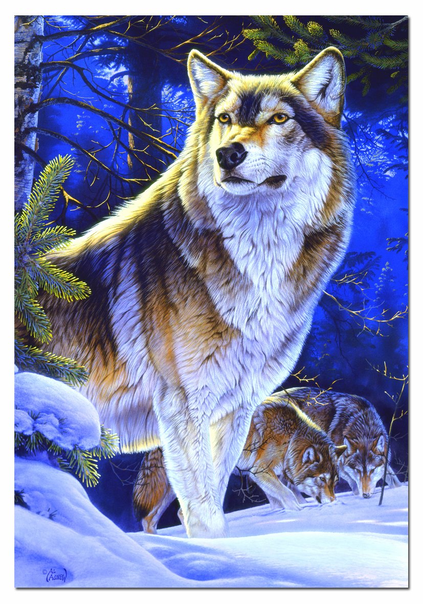 educa-15151-wolf-auf-wache-puzzle-500-teile-tiermotiv image 2