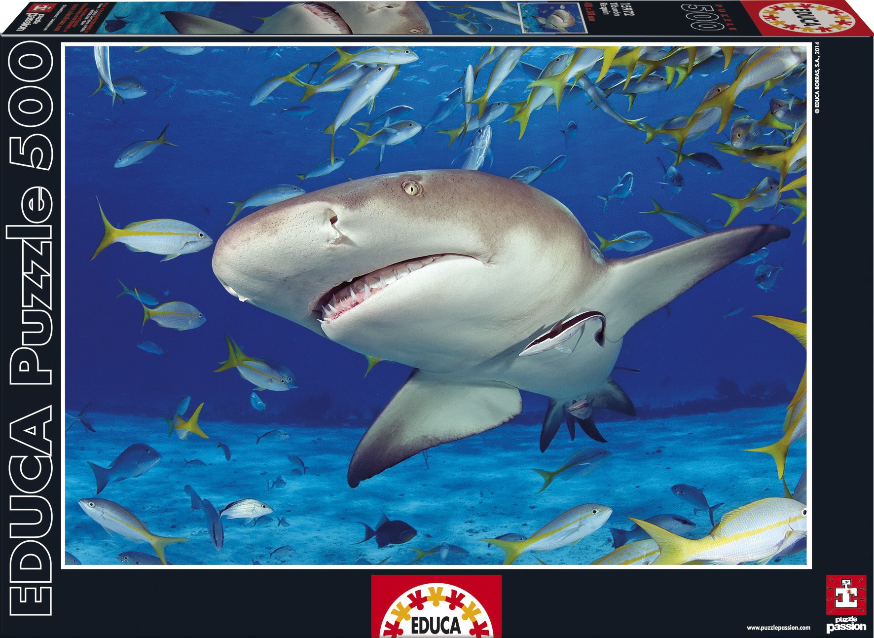 educa-15972-hai-500-teile-puzzle-haifisch-meer image 1
