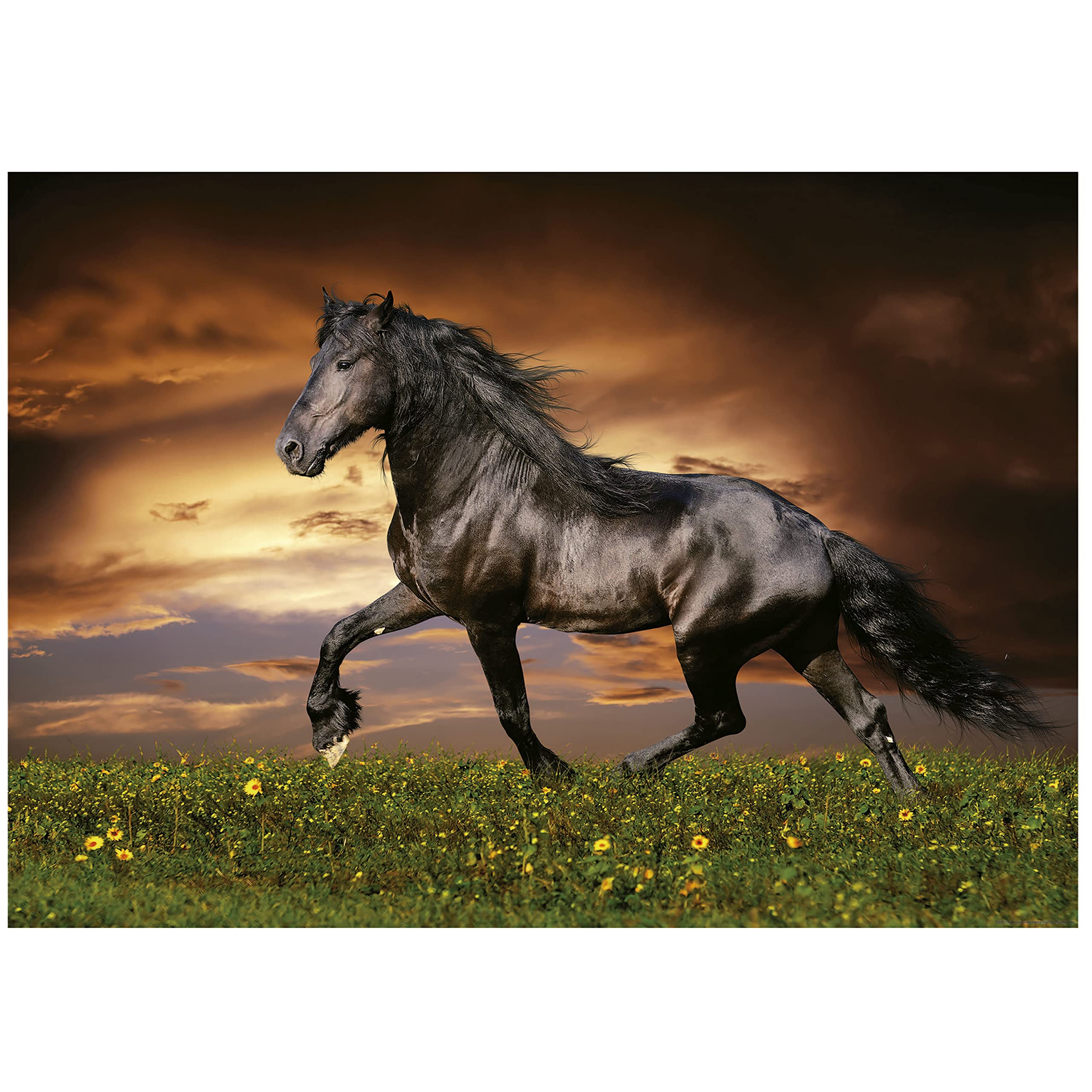 educa-friese-in-der-d-mmerung-19555-puzzle-1000-teile-pferd image 2