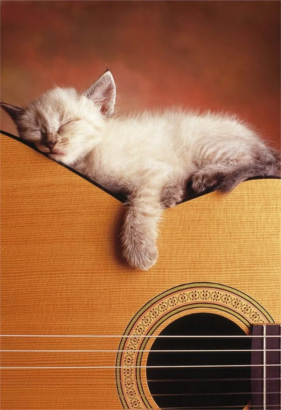 educa-15510-meine-gitarre-puzzle-500-teile-musik image 1