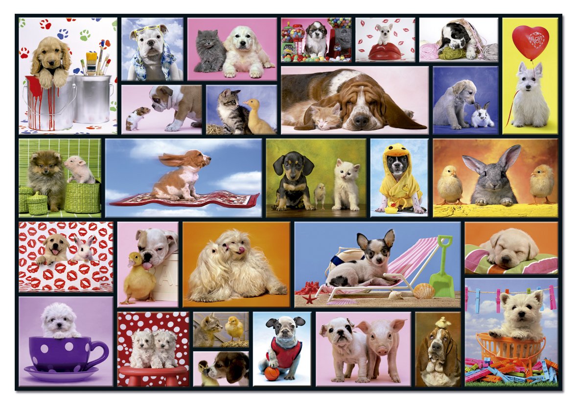 educa-tierfreundschaften-1000-teile-puzzle-tiercollage-ab-10-jahren image 2