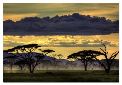 educa-15161-afrikanische-landschaft-puzzle-1000-teile image 2