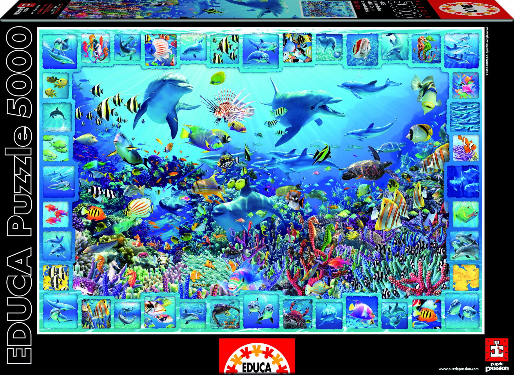 educa-14828-k-nigreich-der-delfine-puzzle-5000-teile image 1