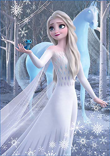 educa-eisk-nigin-2-2x500-teile-puzzleset-anna-elsa image 7