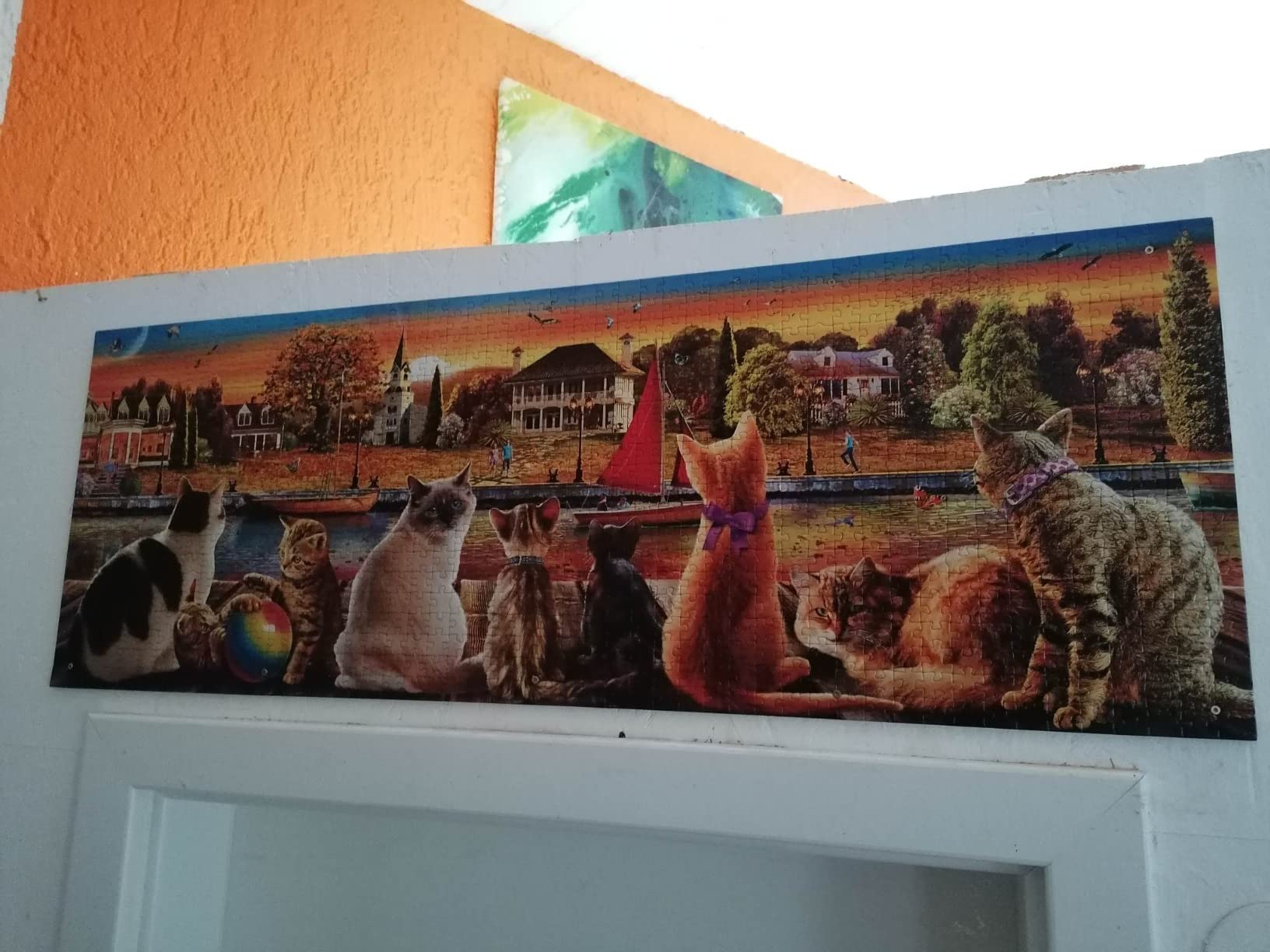 Katzenliebhaber aufgepasst