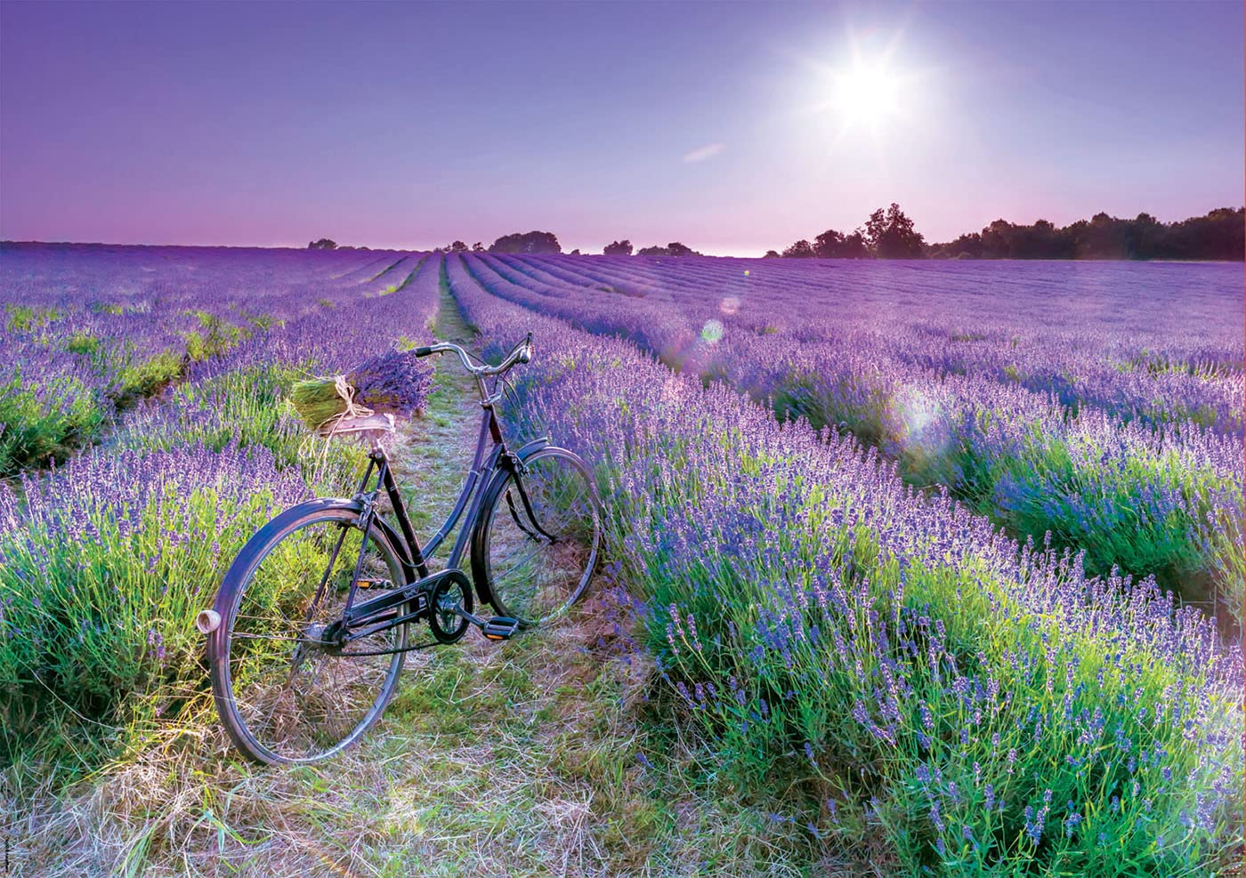educa-puzzle-1000-teile-fahrrad-im-lavendelfeld-provence-ab-14 image 2