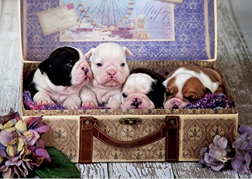 educa-welpen-im-koffer-puzzle-500-teile-bulldogge-19007 image 7