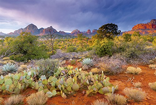 educa-16324-red-rock-puzzle-4000-teile-d-mmerung image 4