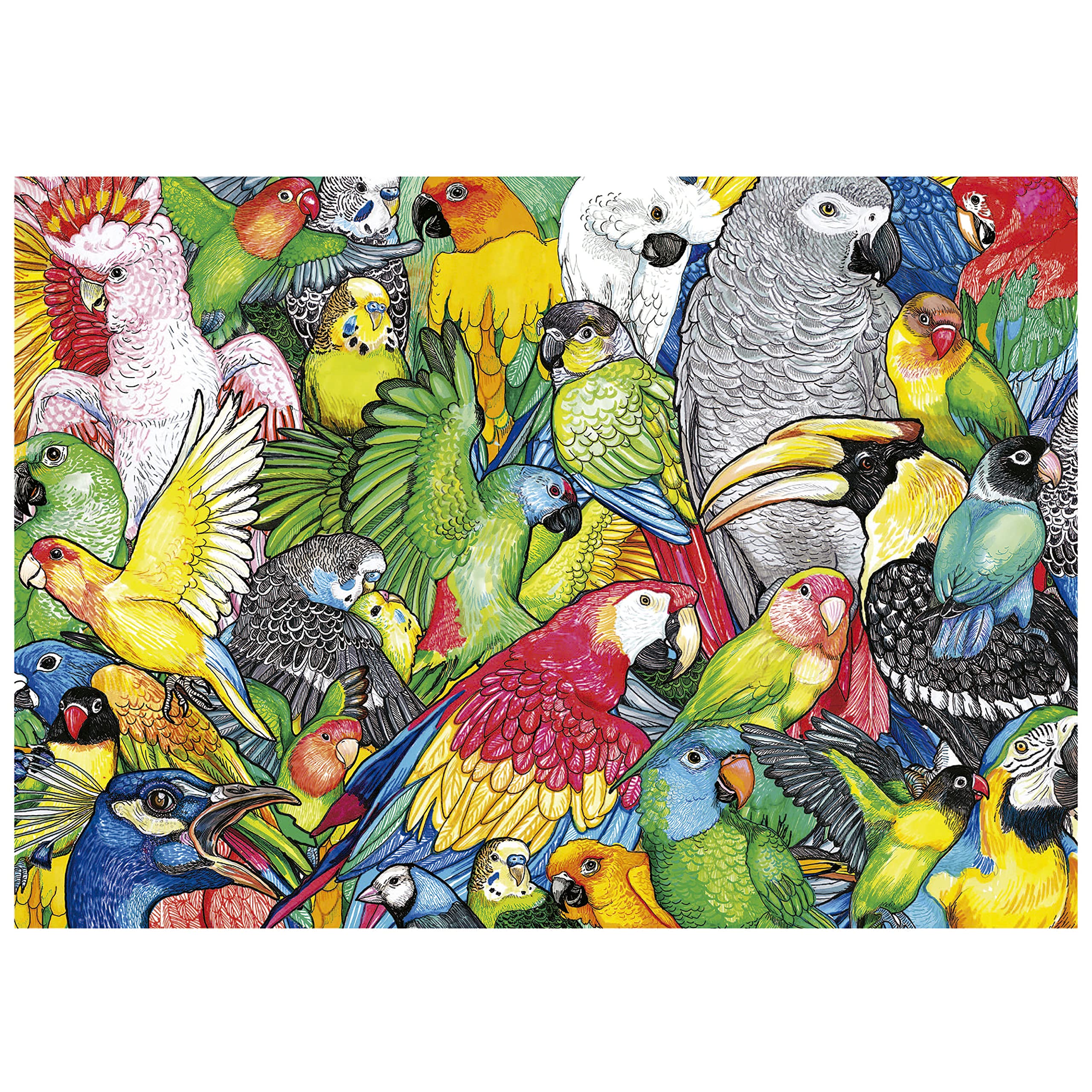 educa-papageien-puzzle-500-teile-tiermotiv-48x34-cm image 2