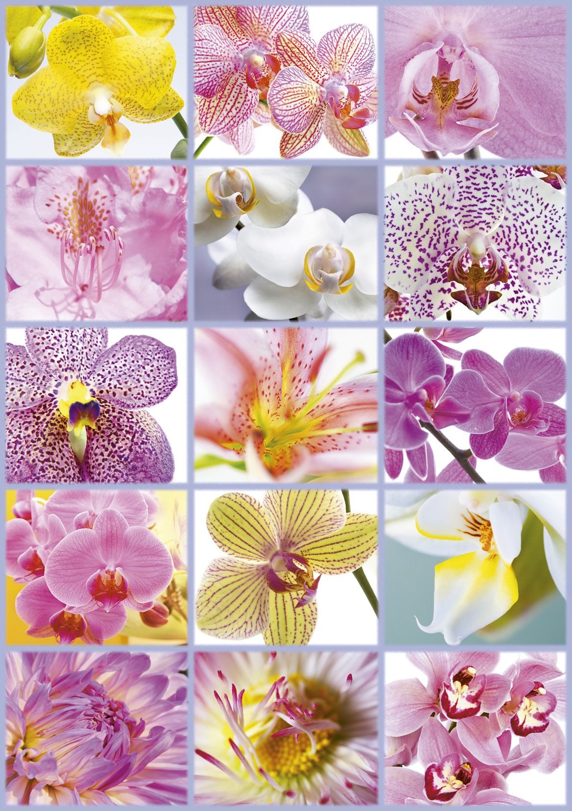 educa-16302-blumen-collage-puzzle-1500-teile image 2