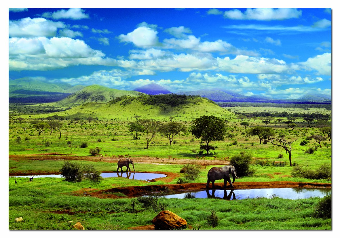 educa-15152-tsavo-nationalpark-puzzle-500-teile-kenia-safari image 2