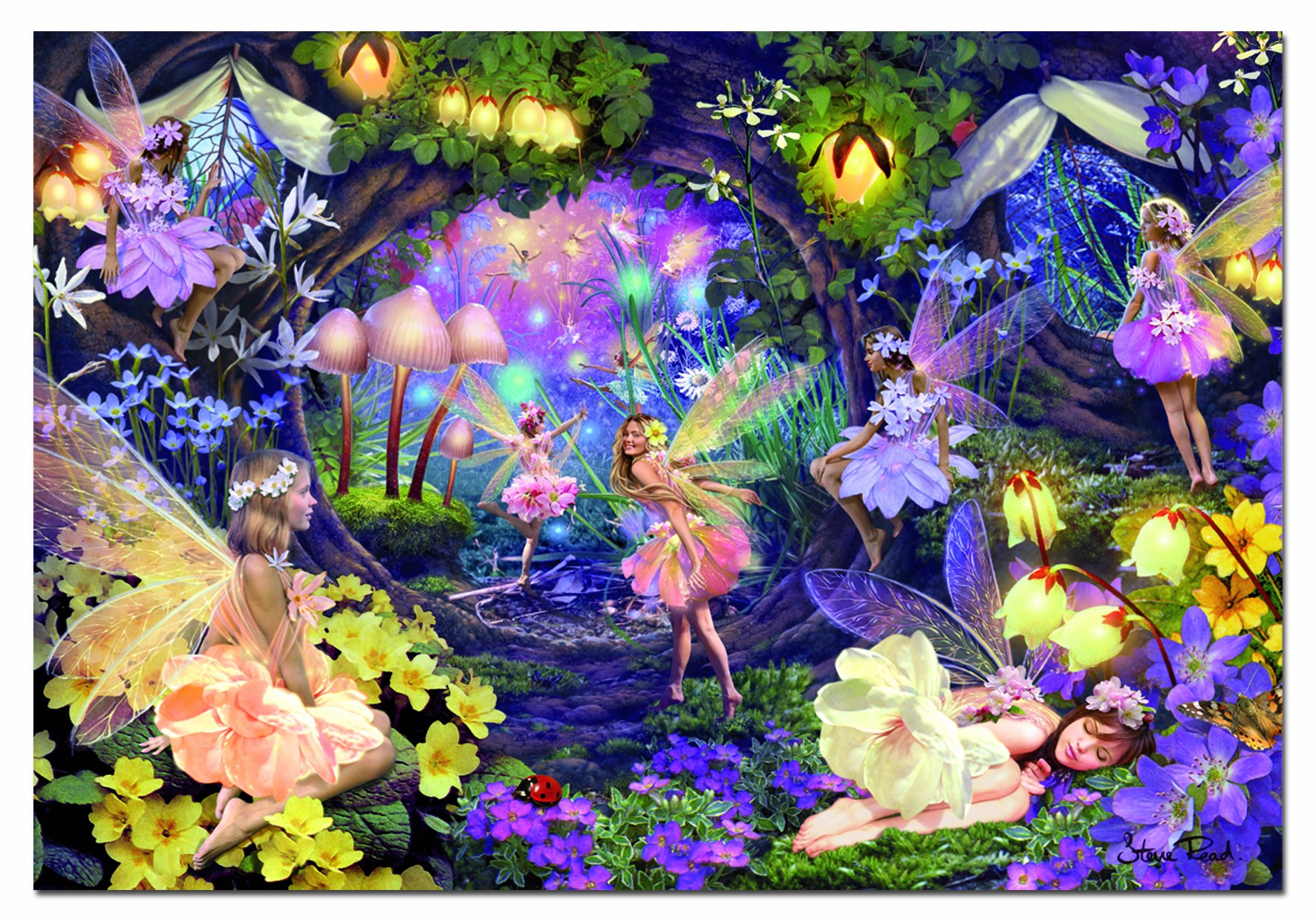 educa-14110-feenh-hle-puzzle-1000-teile-fantasy image 2