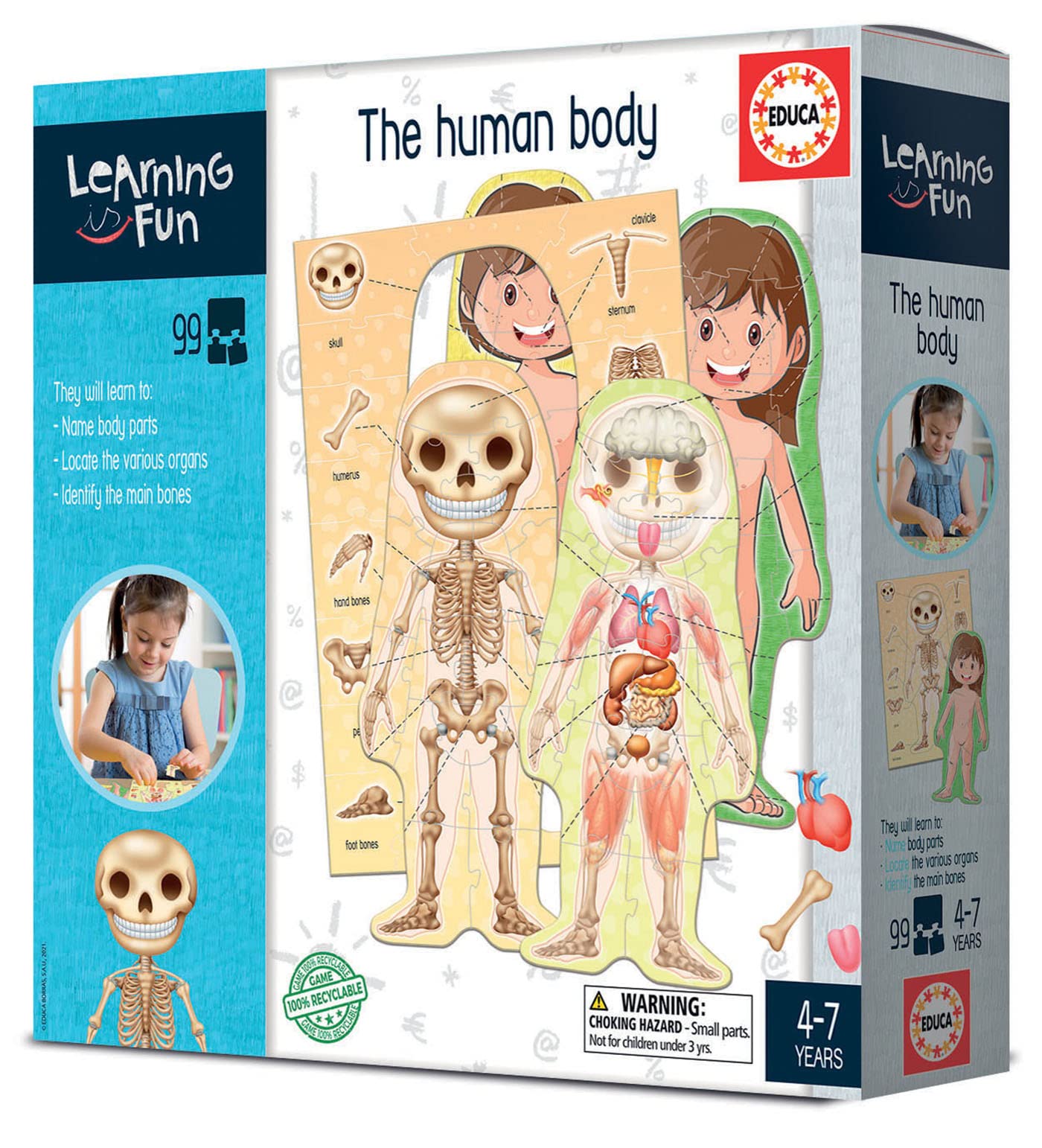 educa-learning-is-fun-der-menschliche-k-rper-lernspiel-99t-ab-4-j image 3