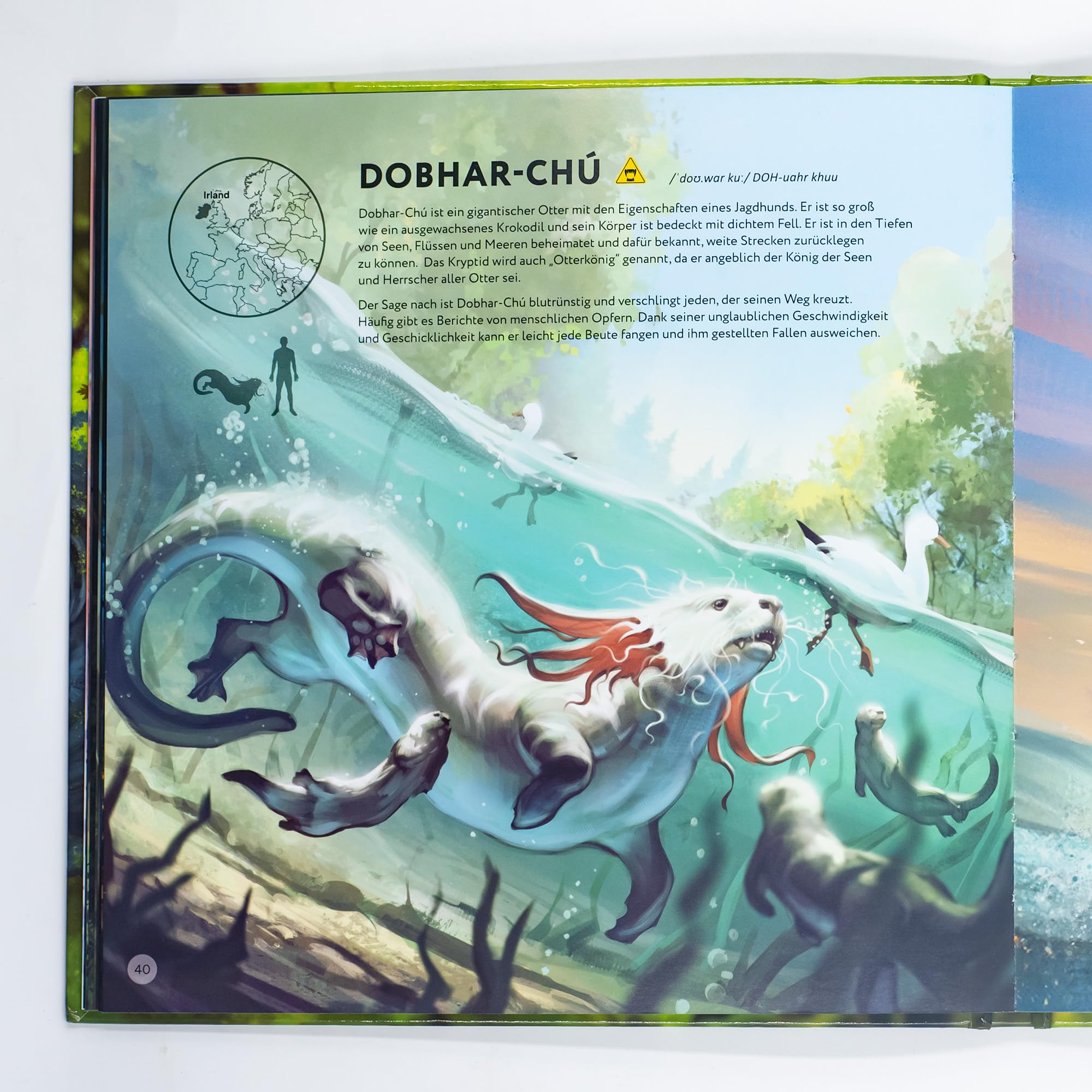 idventure-cryptic-nature-artbook-illustrationen-zum-brettspiel image 4