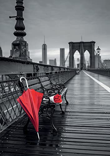 educa-roter-schirm-brooklyn-br-cke-puzzle-1000-teile-17691 image 6